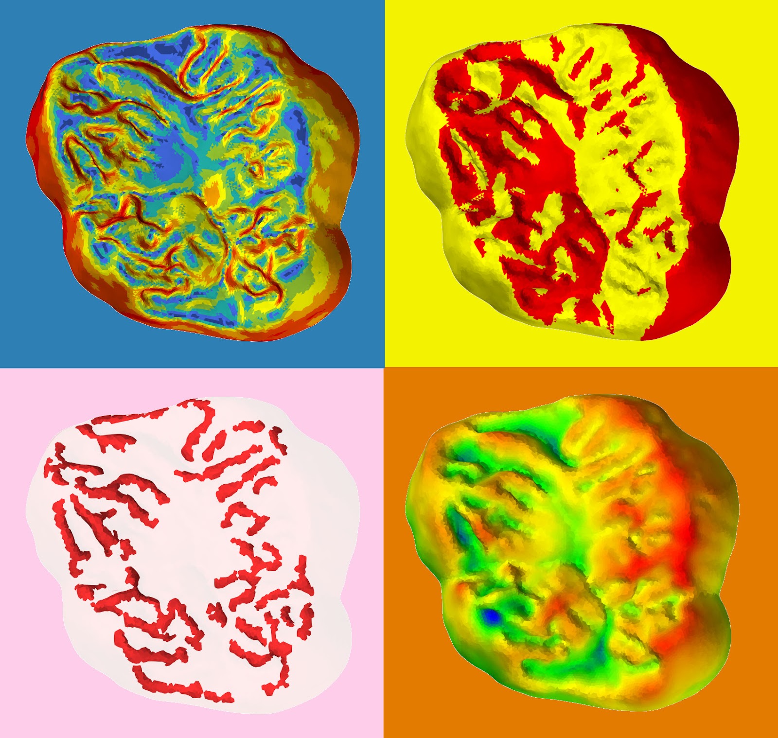 Quatre exemples de cartes obtenues avec doolkit